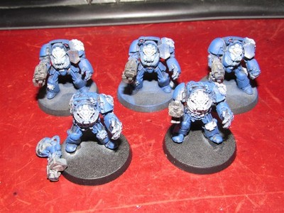 Warhammer 40k: Space Marines: Terminator Squad x5 l