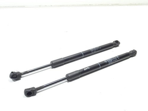 GASDRUCKFEDER VORNE BMW X5 (F15) SUV xDrive 40d 3.0 24V (N57-D30B) 51237308065