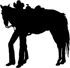 Cowgirl Decal STW-a14 Western Window Graphic, Die Cut Stickers for Trucks