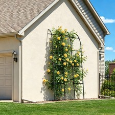 Half Sided Steel Garden Arch Trellis for Climbing Plants Outdoor Yard Decor NEW