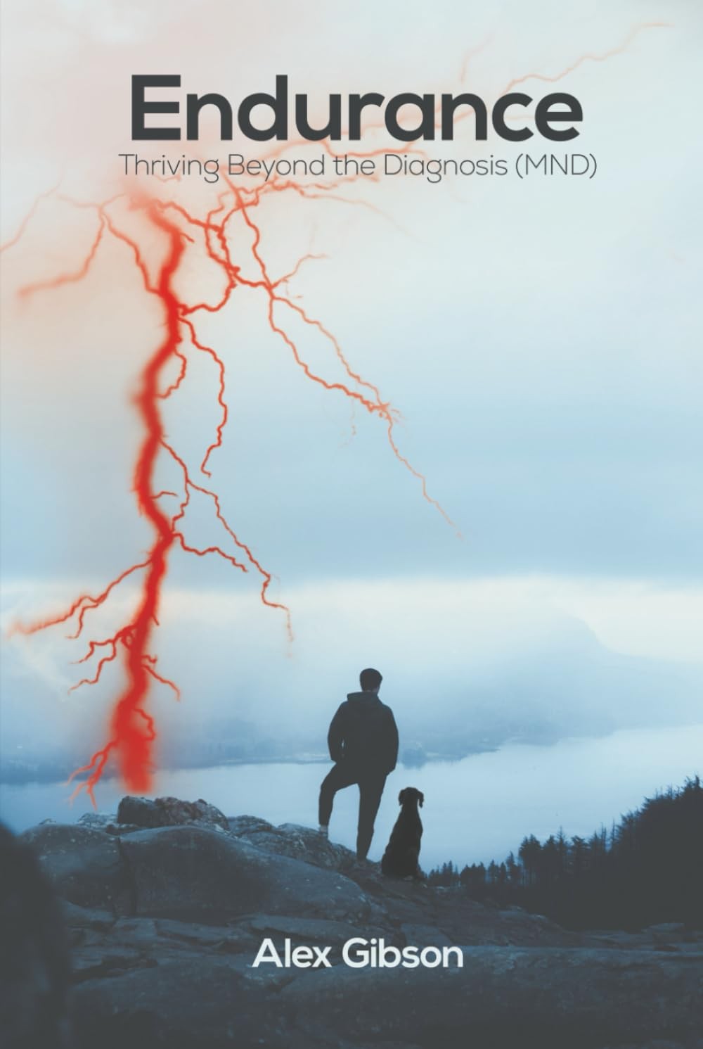 Endurance: Thriving Beyond the Diagnosis - Image 2