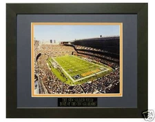 THE NEW SOLDIER FIELD 8X10 PHOTO FRAMED TO 11X14
