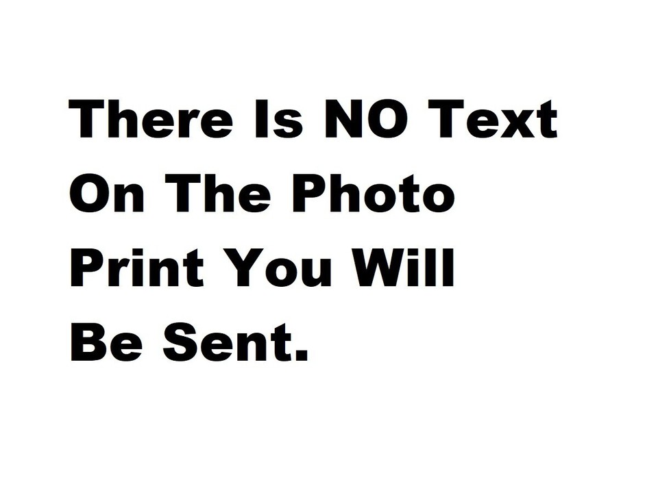 Brandi Love Adult Nude Model 8x10 Photo HD Print Super Naked