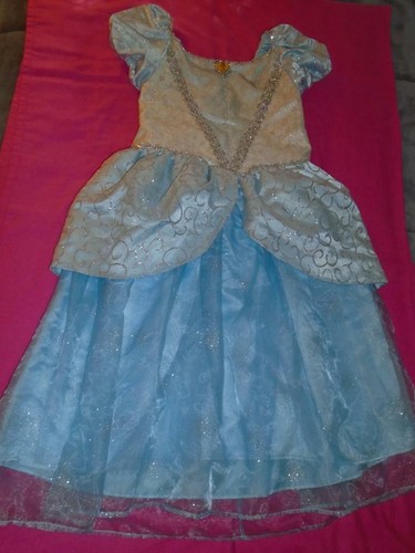 Cinderella Dress From Disney World 