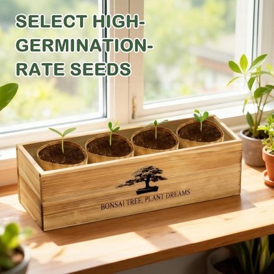 Bonsai Tree Starter Kit with Tools - Perfect Unique Gift for Plant