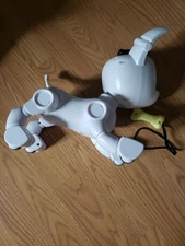 MINTiD Dog-E Interactive Robot Dog, Working