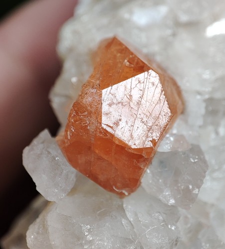 274g Rare Spessartine Orange Garnet Gemmy Crystals on Quartz with Mica - Laghman - Picture 6 of 8