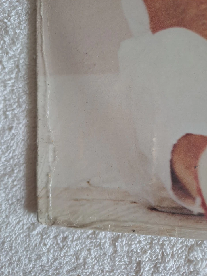 Julio Iglesias - Libra Vinyl LP FACTORY SEALED MINT CONDITION - Image 4 of 4