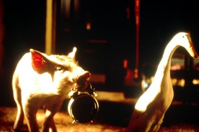 Filmdia Babe: The Gallant Pig 1995 Movie Slide 35mm L31-16-2-1