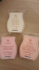Scentsy Wax Bar Bundle