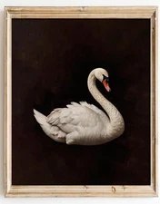 Kizbok Vintage Wall Art Decor Classical Dark Swan Canvas Art Prints Vintage N...