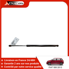 Verin de hayon / de capot Fiat 500