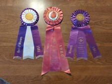 Vintage beautiful AKC Kennel Club Dog Show Ribbons