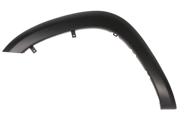 Left Front BLIC 5703-08-8179375P Trim/Protection Strip, wing for TOYOTA