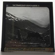 Schweizer Hochland Fotoplatte 1920-1930 Glas Positiv Glas Dia 8,5 cm X 8, 5 cm