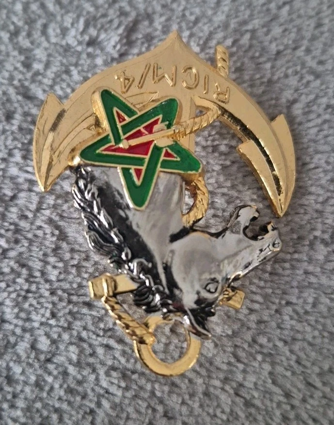 insigne RICM régiment D'infanterie chars de Marine 4 escadron JY Segalen - Photo 4/4