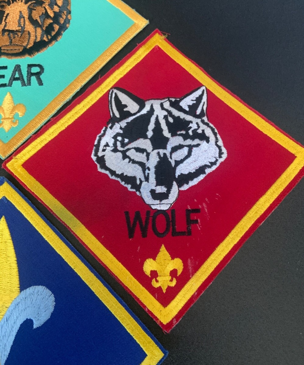 4 LARGE - CUB SCOUT Boy Scouts Rank JACKET PATCHES Bear