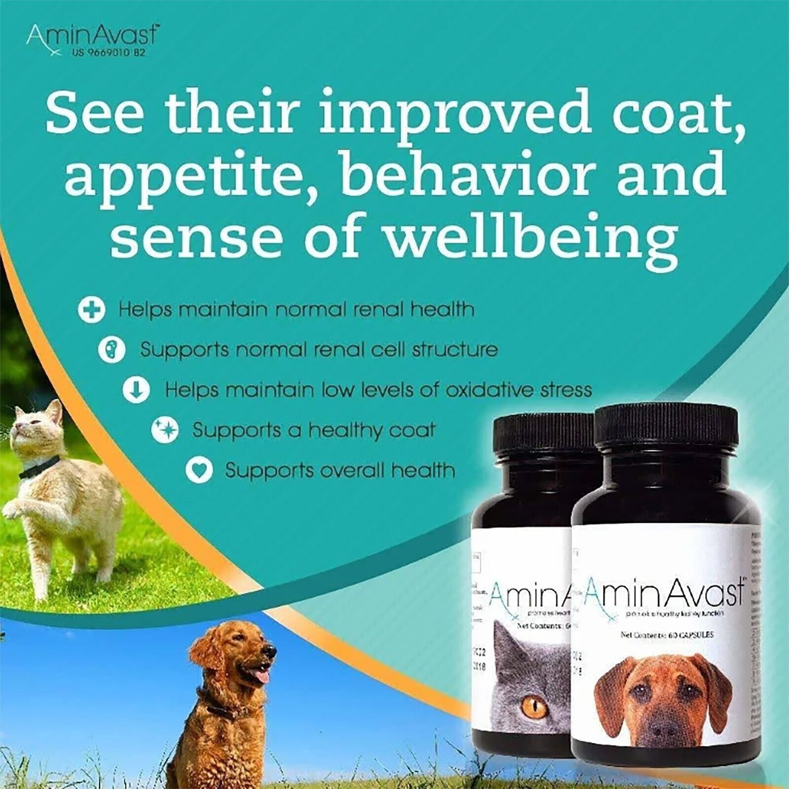 AminAvast Kidney Support Supplement for Dogs, 1000mg 60 Capsules Exp
