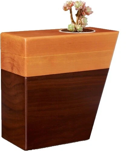 Urnas de moderna de madera