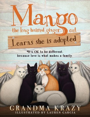 MANGO (the long haired ginger cat) LEARNS SHE IS ADOPTED: It's Ok to Be