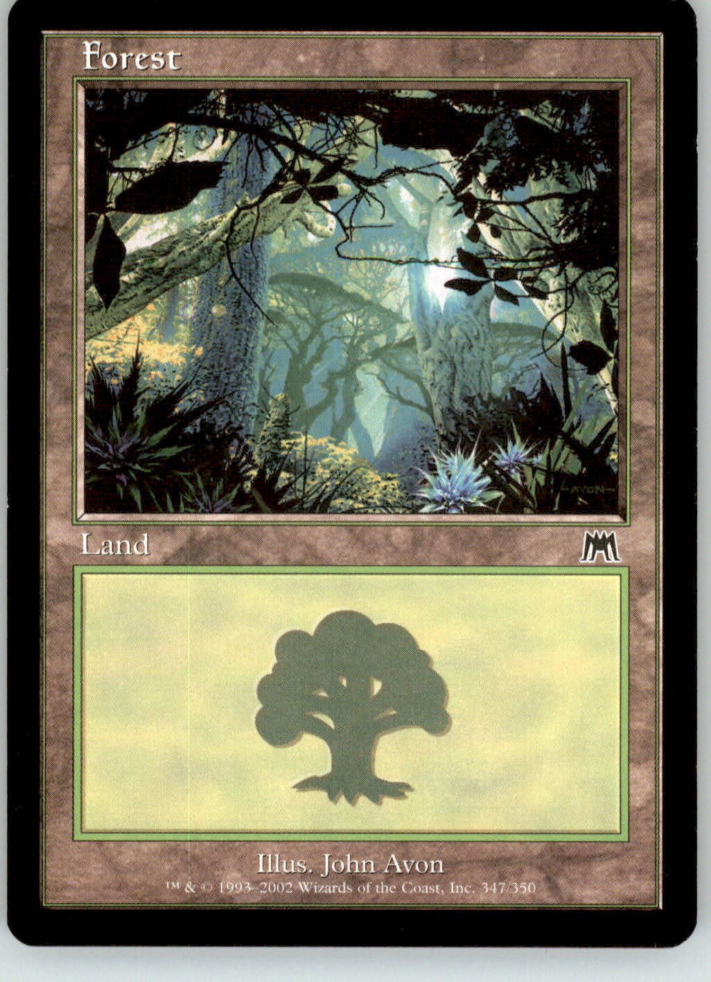Forest (347) - Onslaught - 347 - LP Magic: The Gathering
