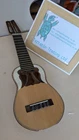 Damaged Bolivia Charango Body for display or repair