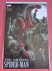 AMAZING SPIDER-MAN #13 - Cover B by Lee Bermejo  (2025 Marvel)