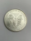 1 oz  2010 American Silver Eagle