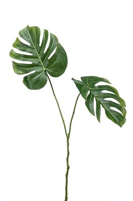artplants Philodendron Kunstpflanze AECIO, 50cm