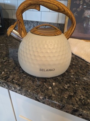 Stove Top Tea Kettle