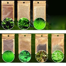 Aquarium Plant Seeds Aquatic Small Leaf Carpet Water Grass Fish Tank D cor