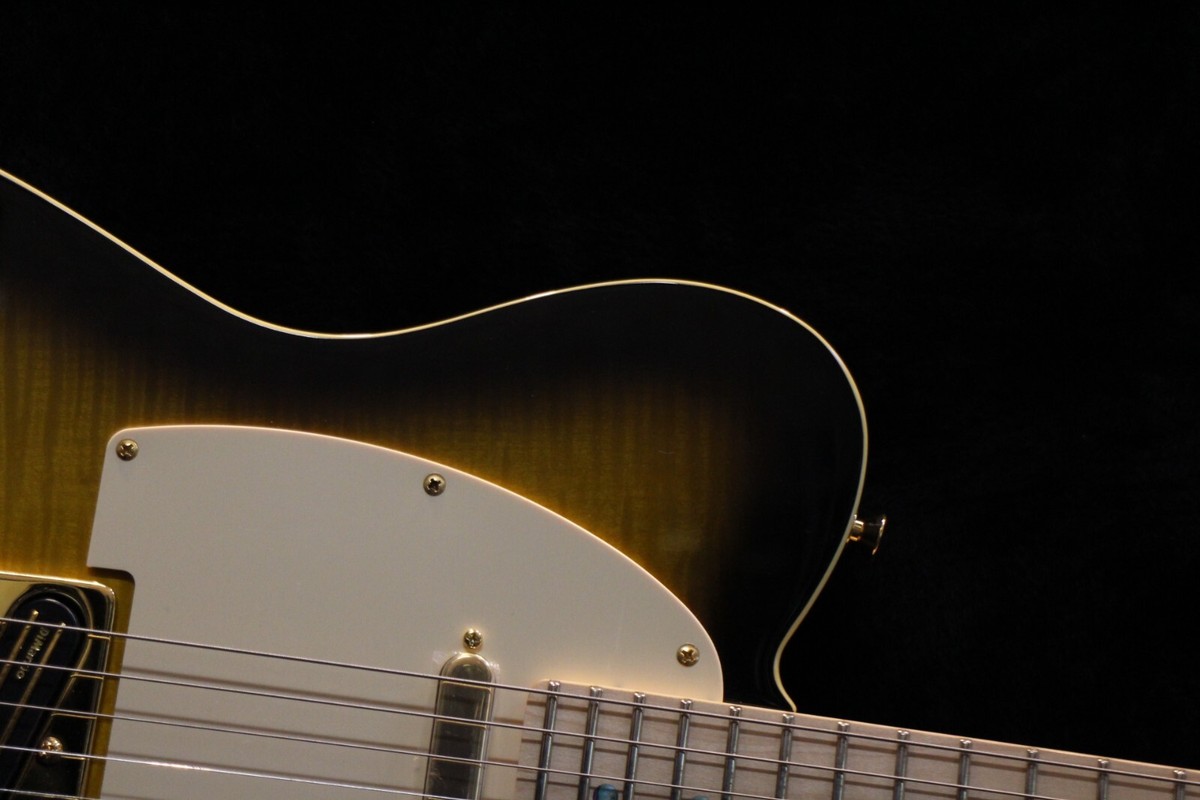 NEW Fender Japan Telecaster TLR RK Richie Kotzen BS Sunburst