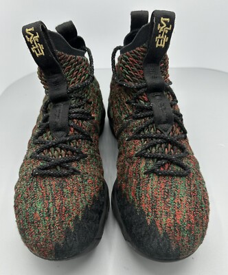 lebron james 15 kids