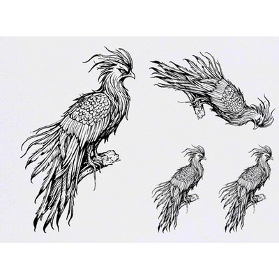 4 x 'Majestic Phoenix' Temporäre Tattoos / Transfers (TO00075216)