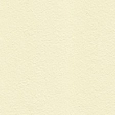  Zeta Hammered Cream Ivory A4 Watermarked Paper Textured 100gsm 50 Sheets