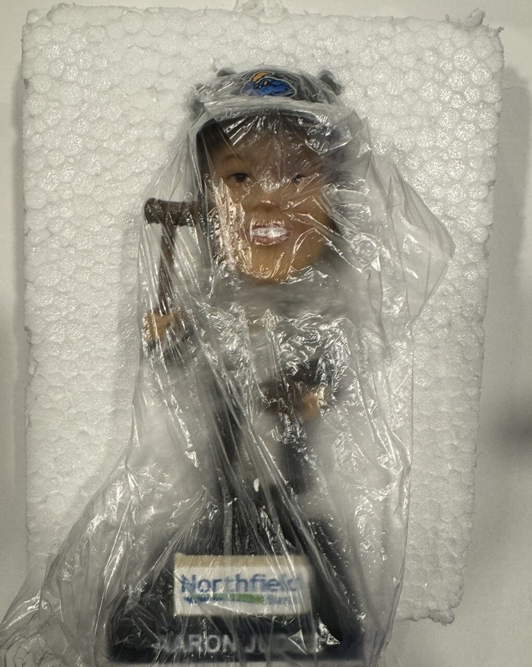 Aaron Judge 2019 Trenton Thunder SGA Bobblehead NY Yankees 62 Robe ...