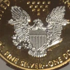 2014 EAGLE 🦅 GOLDSILVER GILDED SPECTACULAR AMERICAN EAGLE (BRILLIANT PROOF!#7A