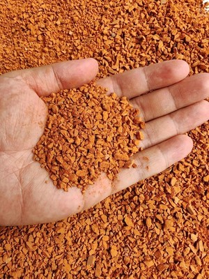 Horticultural Calcined Clay Soil Bonsai Cactus Soil Additive for Succulent Pl...