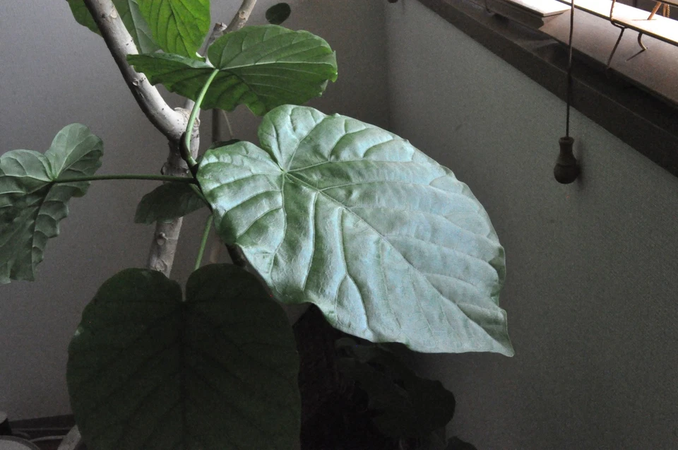 [Testé !/N comme neuf] Objectif Nikon AF-S DX NIKKOR 18-105 mm f/3,5-5,6 G ED... - Photo 4/4