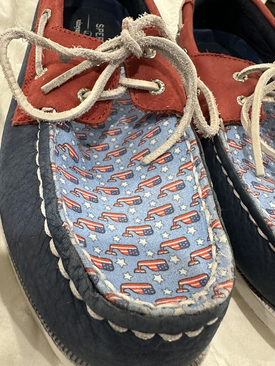 Sperry Top-Sider Vineyard Vines Americana Whale Boys 6 M  display picture 1