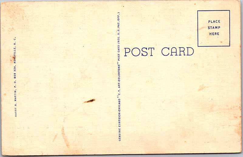 Postcard ROAD SCENE State of North Carolina NC AK5000 eBay