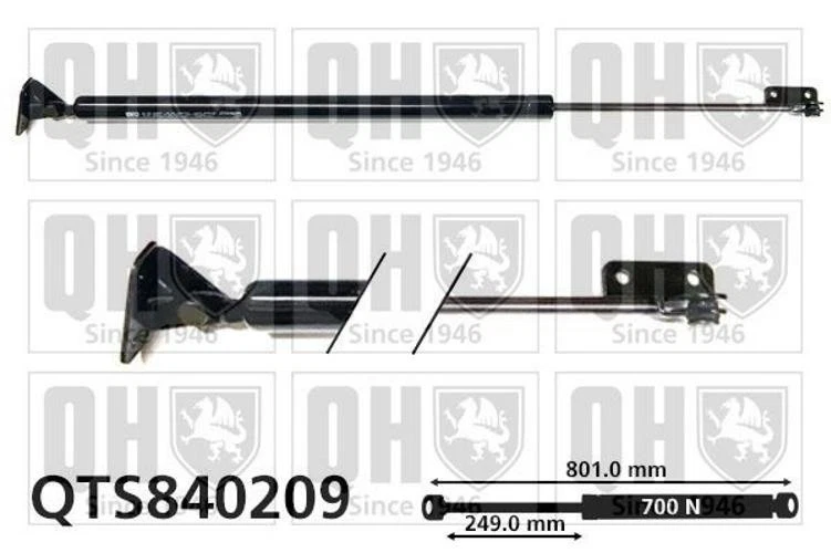 QUINTON HAZELL QTS840209 Amortiguador de maletero 801mm para HYUNDAI H100 Furgón - Imagen 2 de 4