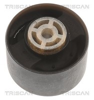 Triscan Lagerung, Motor Hinten, Links, Oben, Rechts, Unten U.A. FüR CitroËN