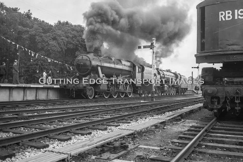 6 x 9 Railway Negative: LMR 8F 501 Longmoor 03/09/1955                   57/5/28