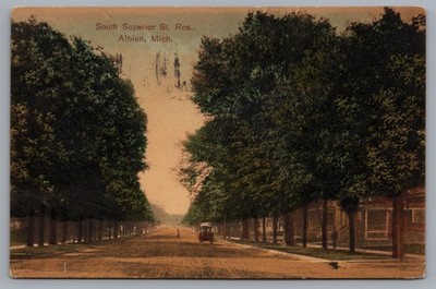 South Superior Street Ros. Albion Michigan Residential Houses Trees Postcard