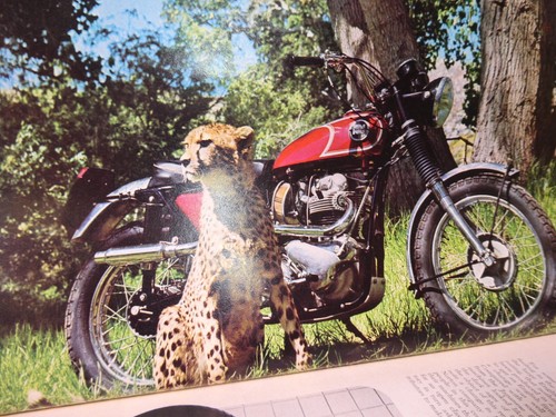 Modern Cycle Aug 1966 Norton p-11 Montesa Maico 360 HD Custom Ducati Metisse E6 - Picture 2 of 11