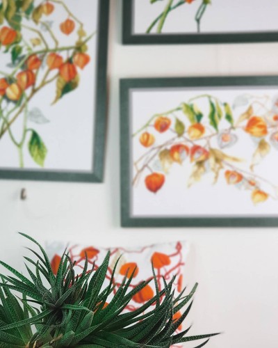 DIY Counted Cross Stitch Pillow Kit "Physalis" - Picture 7 of 9