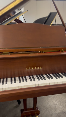 Yamaha C-3 Grand Piano 6'1 Yamaha C-3 Grand Piano 6'1