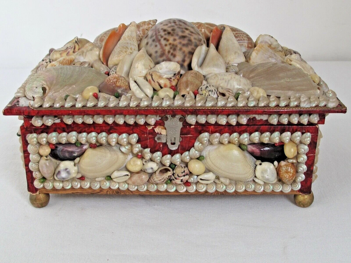 9+ Shell Jewelry Box