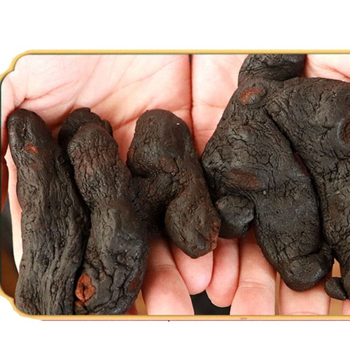  250g  jiu zhi huangjing healthy herbal tea  yangsheng - Bild 3 von 7